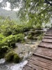 resIMG_20220608_103731_IMG_8545_HEIC.jpg